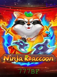 Descubra as Aventuras de NinjaRaccoon
